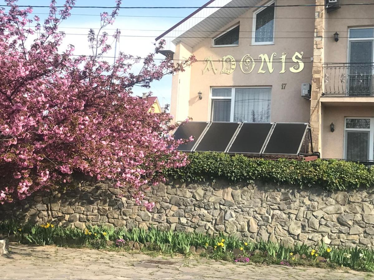 Adonis *
